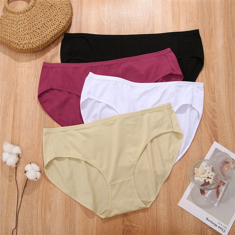 High Waist Briefs Super Stretch Triangle Underpants
