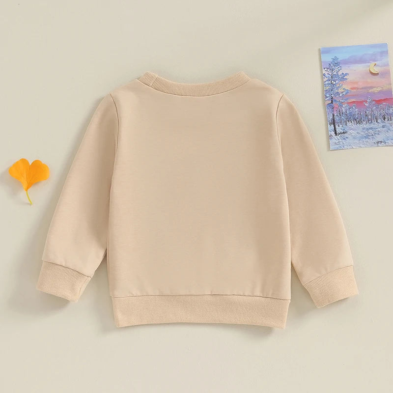6M-4Y Toddler Baby Boy Big Sweatshirt