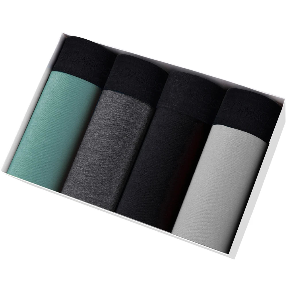 4pcs sexy Men's brand underpants