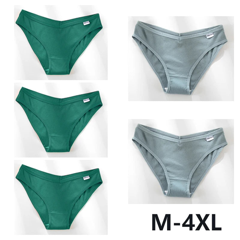 Women Sexy V Waist Plus Size Briefs Low-Rise Comfortable Lingerie