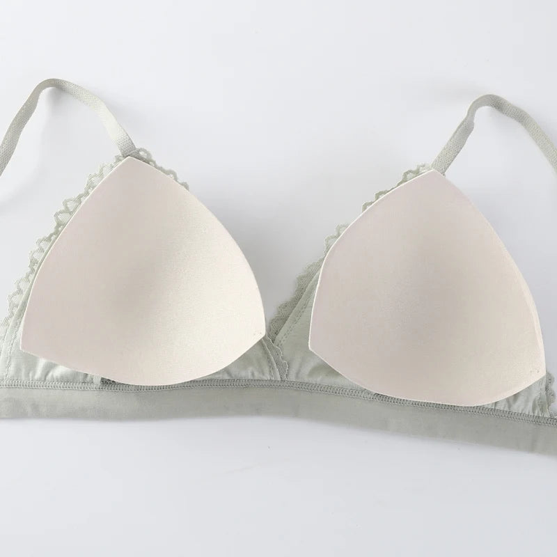 New Low Waist Briefs Vneck Embroidery Brassiere Panties Set